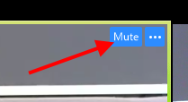 Mute button