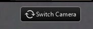 Switch Camera button